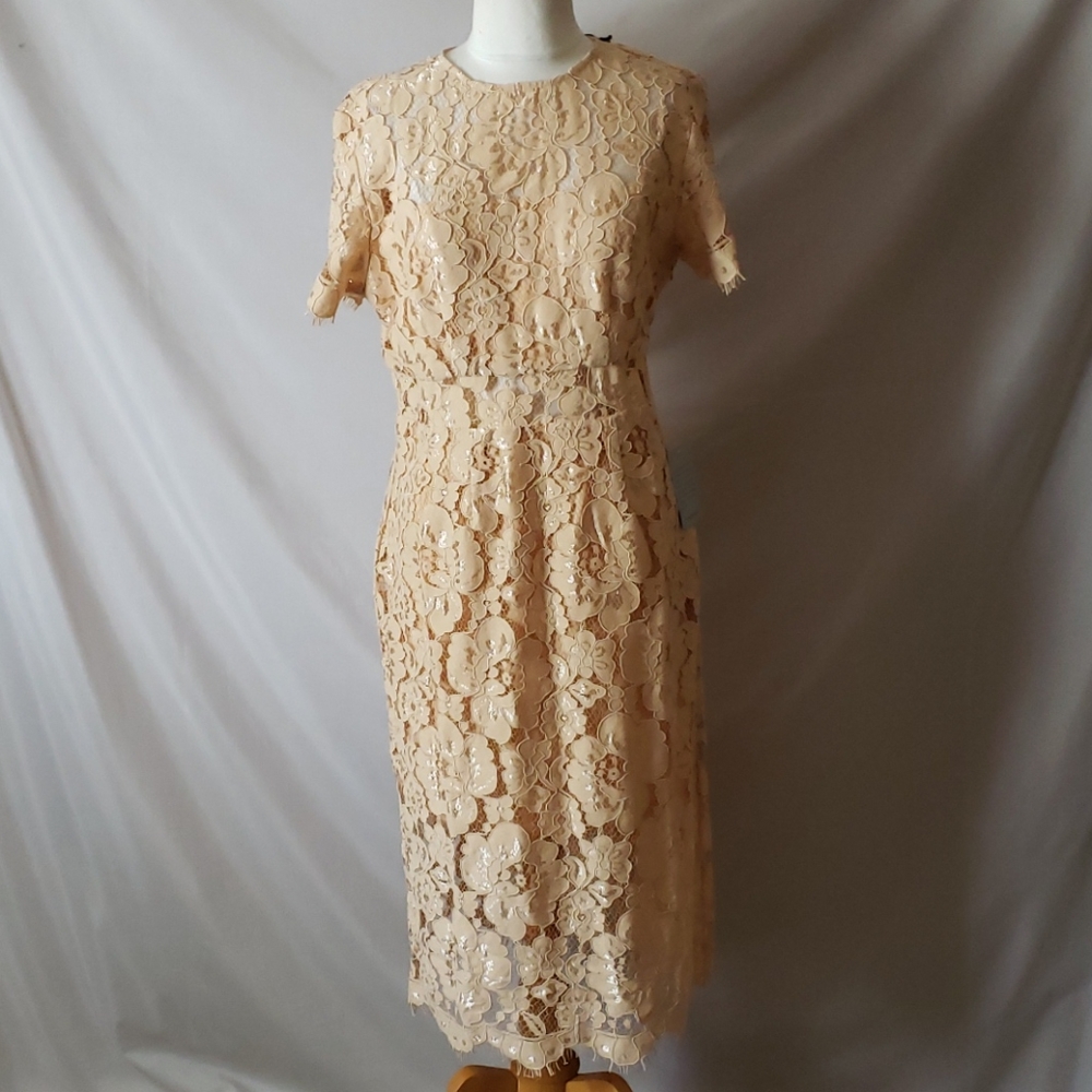 New NSR Lace Dress